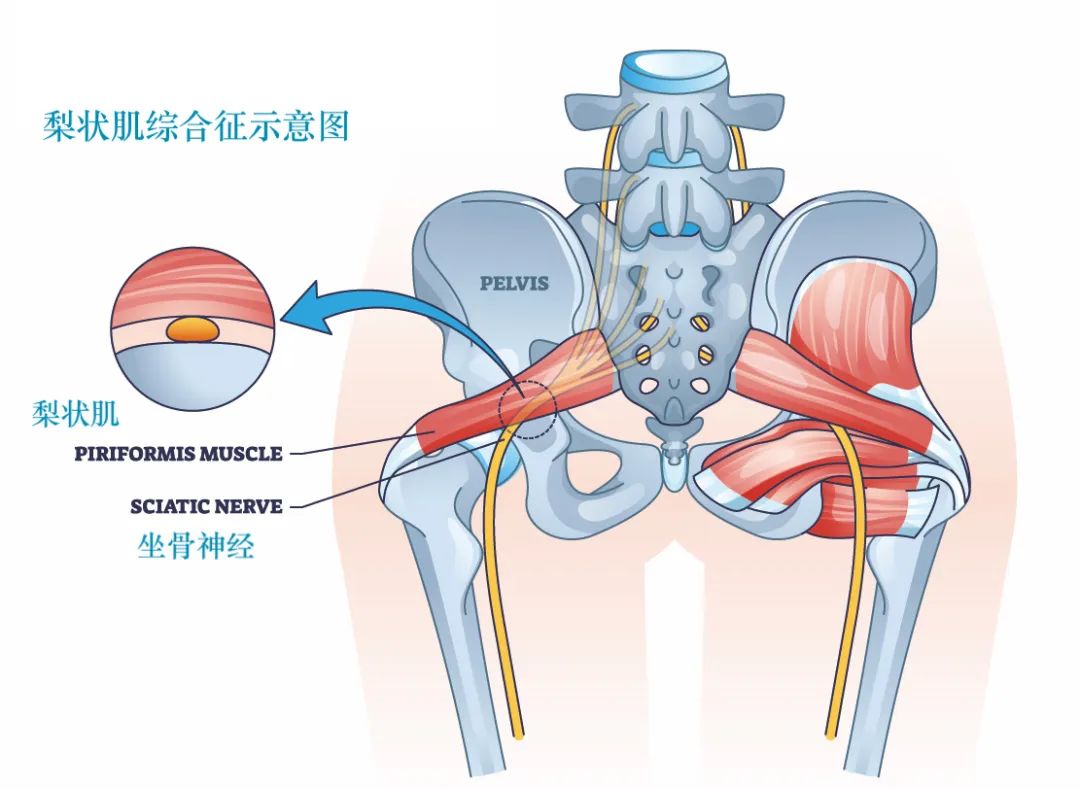 查看图片需登陆