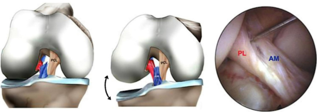 查看图片需登陆