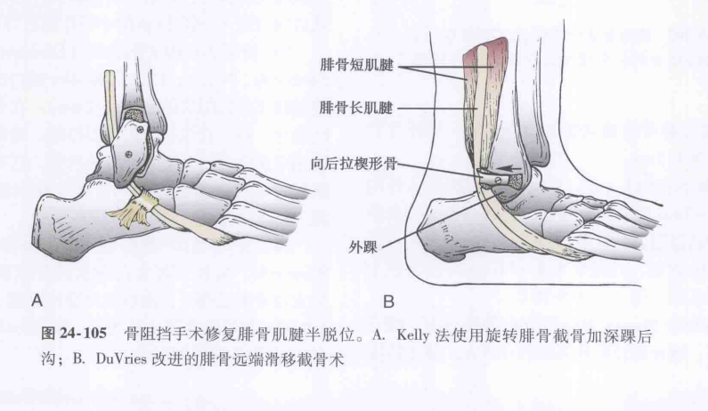 查看图片需登陆