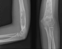 查看图片需登陆