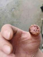 查看图片需登陆