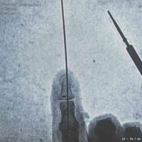 查看图片需登陆