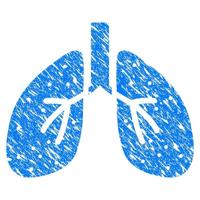 查看图片需登陆