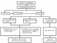 查看图片需登陆