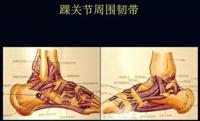 查看图片需登陆