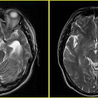 查看图片需登陆