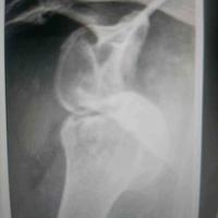 查看图片需登陆