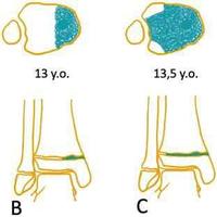 查看图片需登陆