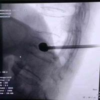 查看图片需登陆