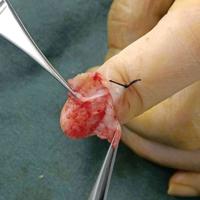 查看图片需登陆