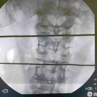 查看图片需登陆