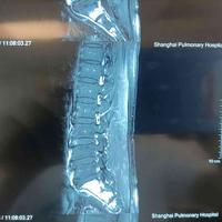 查看图片需登陆