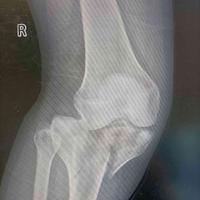 查看图片需登陆