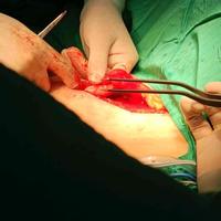 查看图片需登陆