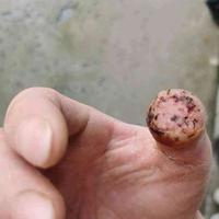 查看图片需登陆