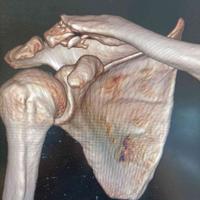 查看图片需登陆