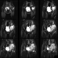 查看图片需登陆